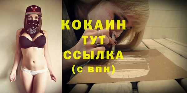 PSILOCYBIN Балабаново