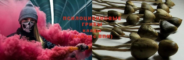 дмт Балахна