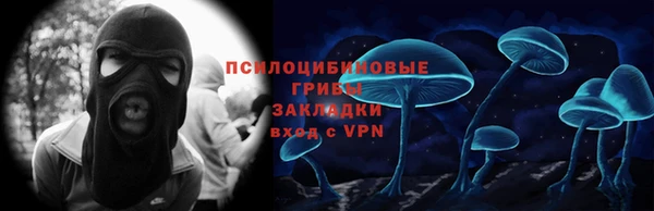 PSILOCYBIN Балабаново