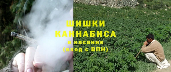 PSILOCYBIN Балабаново