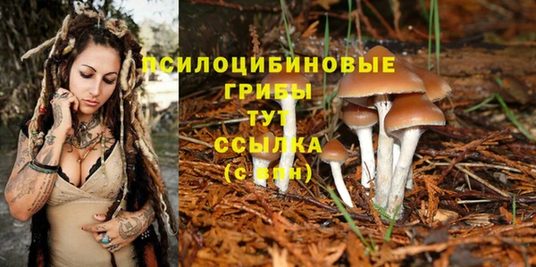 дмт Балахна