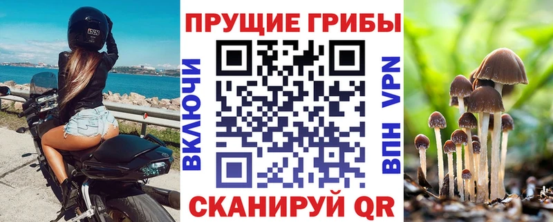 даркнет сайт  Балтийск  Галлюциногенные грибы мицелий 